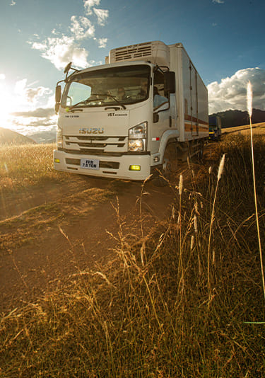 Contacto Isuzu
